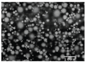 SEM image with Aquarious liquid cell